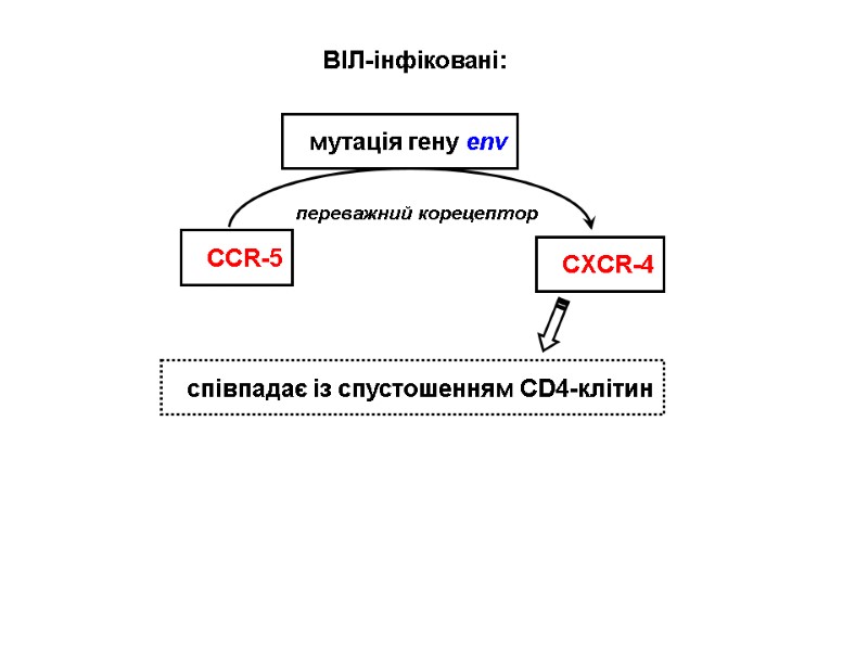 ВІЛ-інфіковані: мутація гену env CCR-5 CXCR-4 співпадає із спустошенням CD4-клітин переважний корецептор